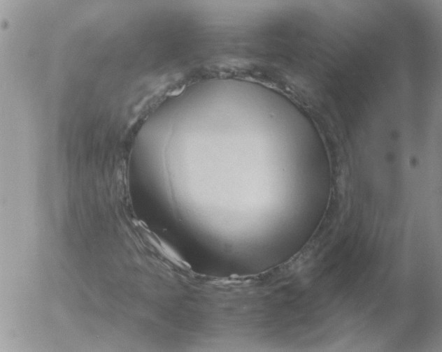 X0000053091397200508012020