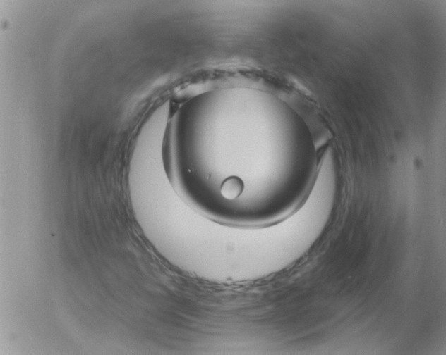 X0000053091398200508012020