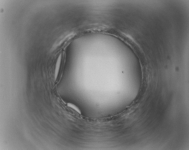 X0000053091399200508012020