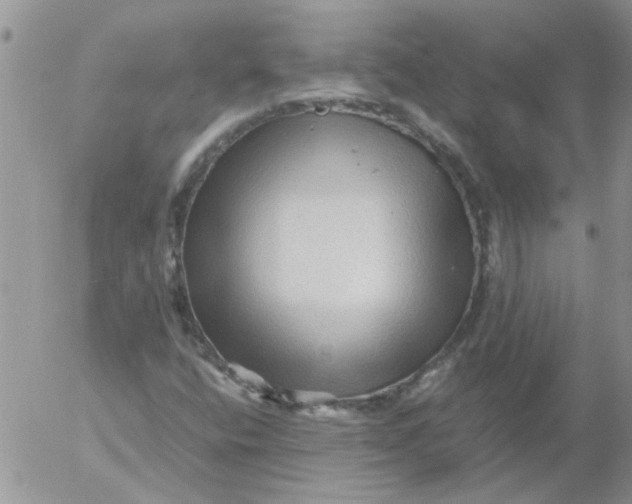 X0000053091400200508012020