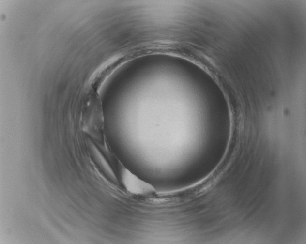 X0000053091402200508012020