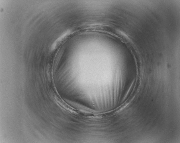 X0000053091403200508012020