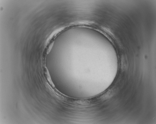 X0000053091404200508012020