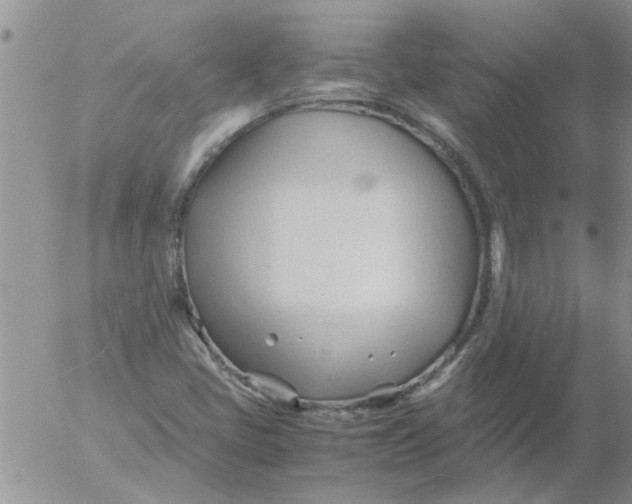 X0000053091405200508012020