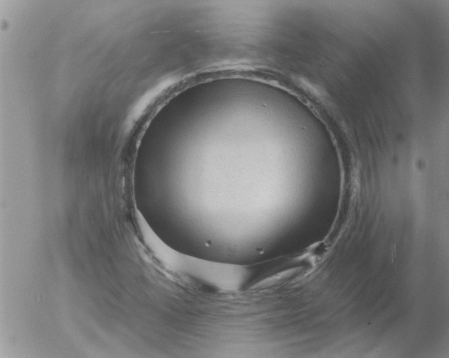 X0000053091406200508012020