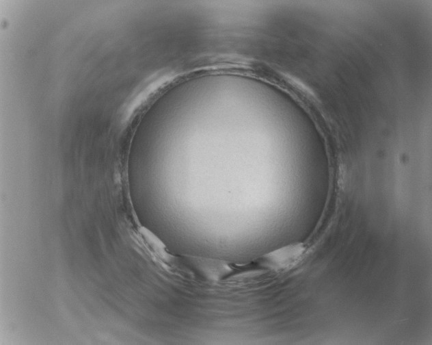 X0000053091407200508012020