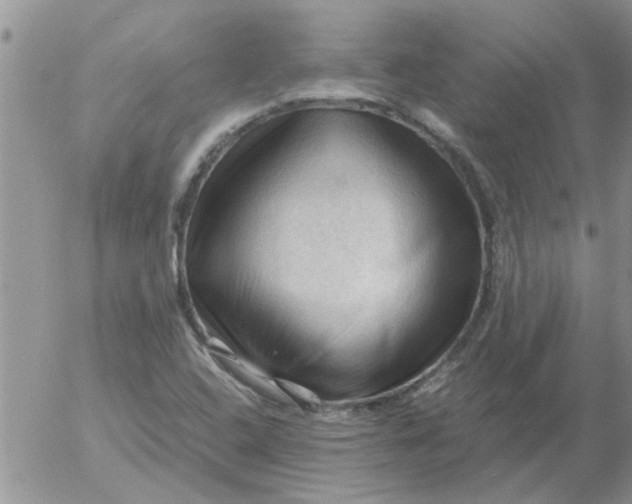 X0000053091408200508012020