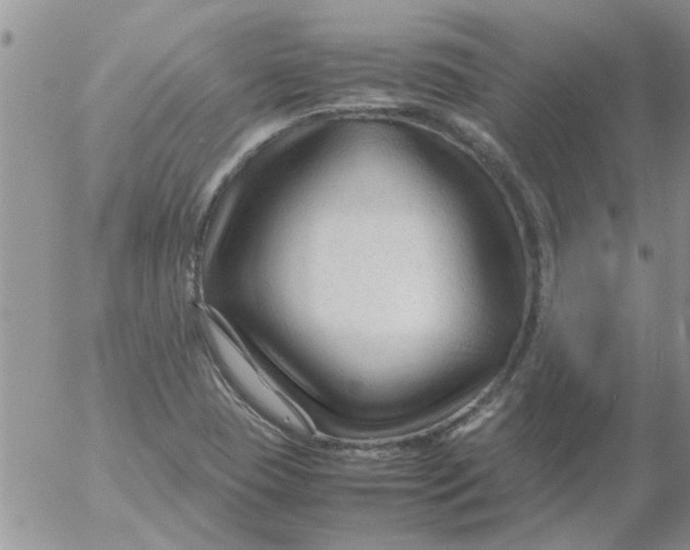 X0000053091409200508012020