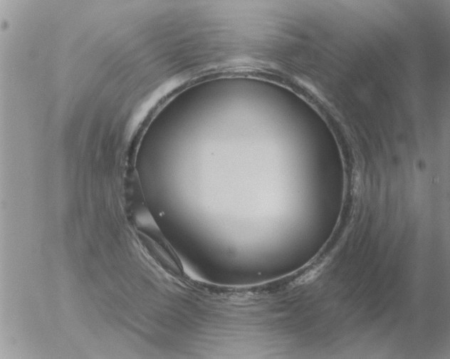 X0000053091410200508012020