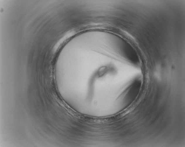 X0000053091411200508012020