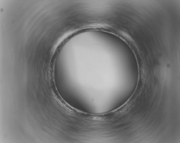 X0000053091412200508012020