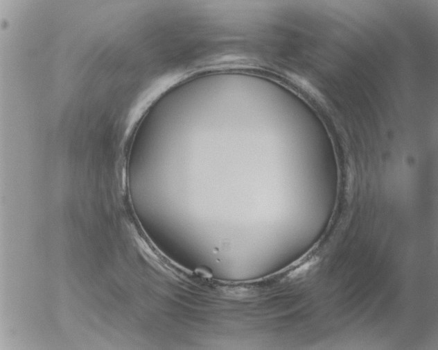 X0000053091413200508012020