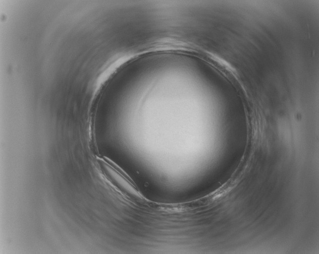 X0000053091415200508012020