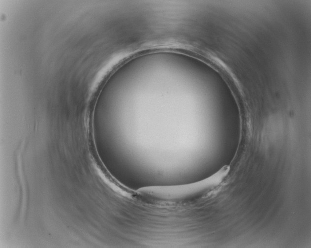 X0000053091416200508012020