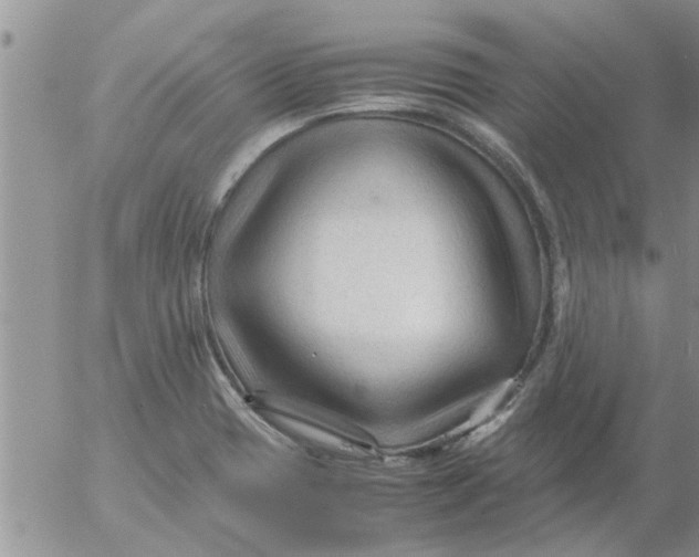 X0000053091417200508012020