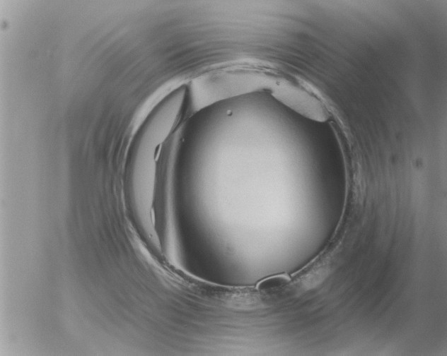 X0000053091418200508012020