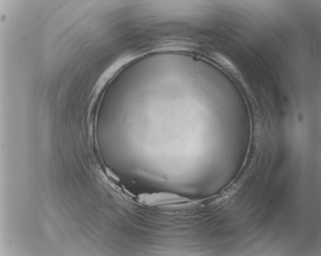 X0000053091419200508012020