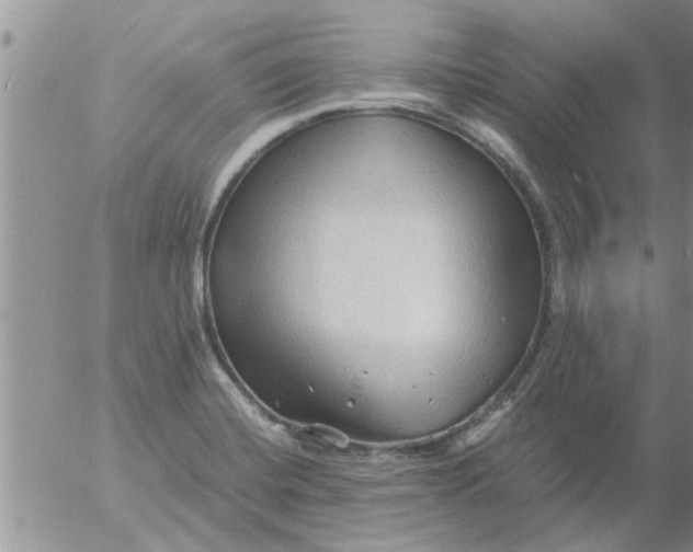 X0000053091420200508012020