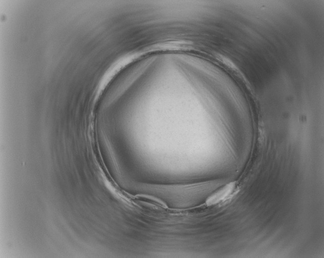 X0000053091421200508012020