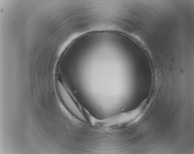 X0000053091422200508012020