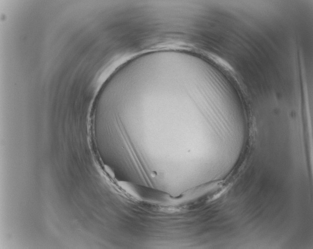 X0000053091423200508012020