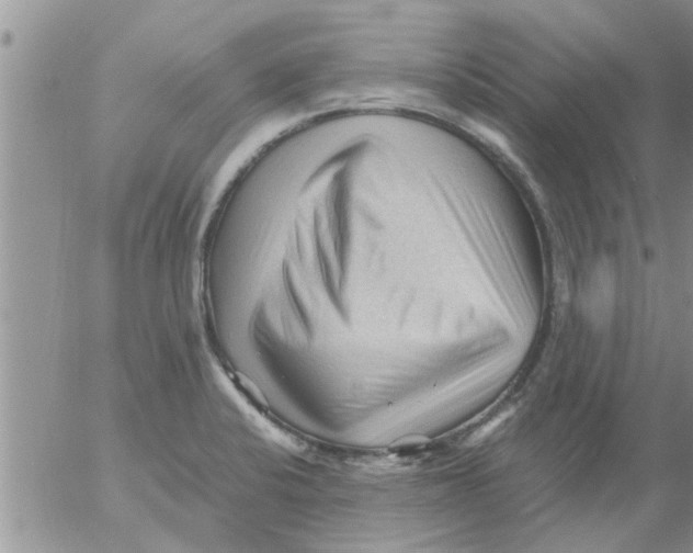 X0000053091424200508012020