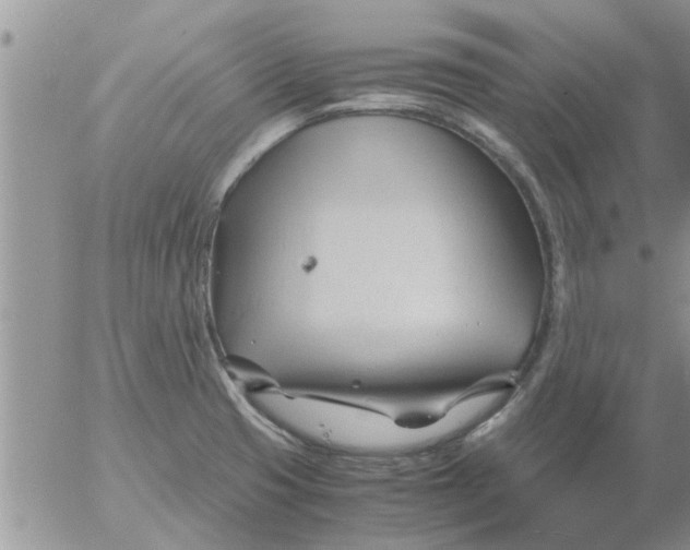 X0000053091425200508012020