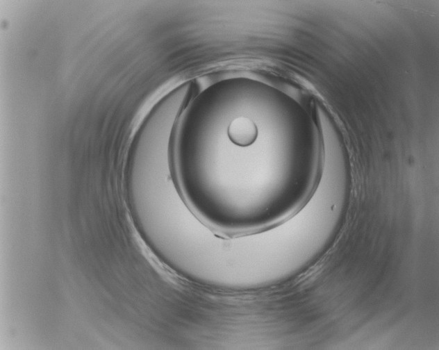 X0000053091426200508012021