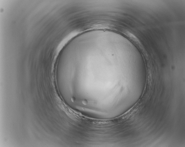 X0000053091427200508012021