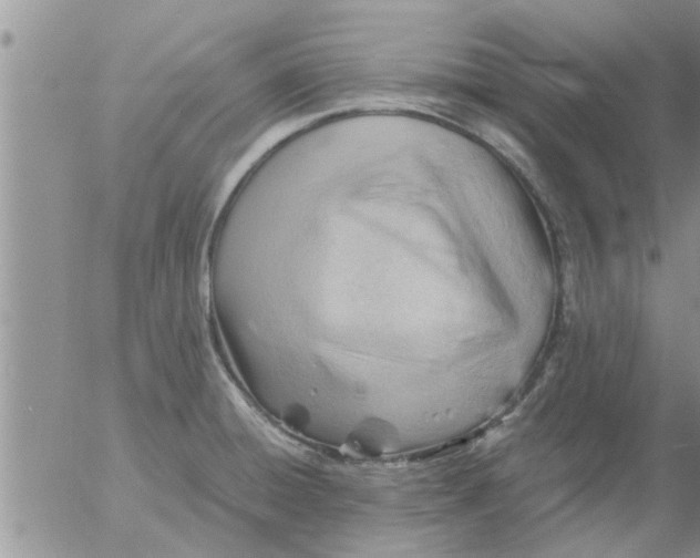 X0000053091428200508012021