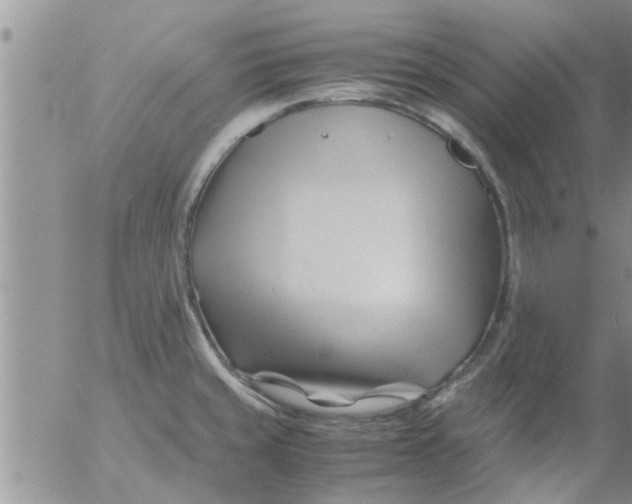 X0000053091429200508012021