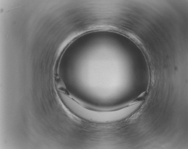 X0000053091430200508012021