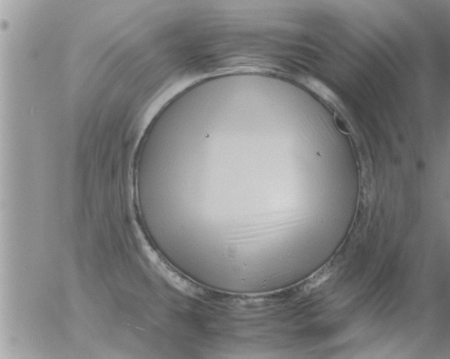 X0000053091431200508012021