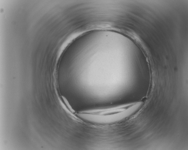 X0000053091432200508012021