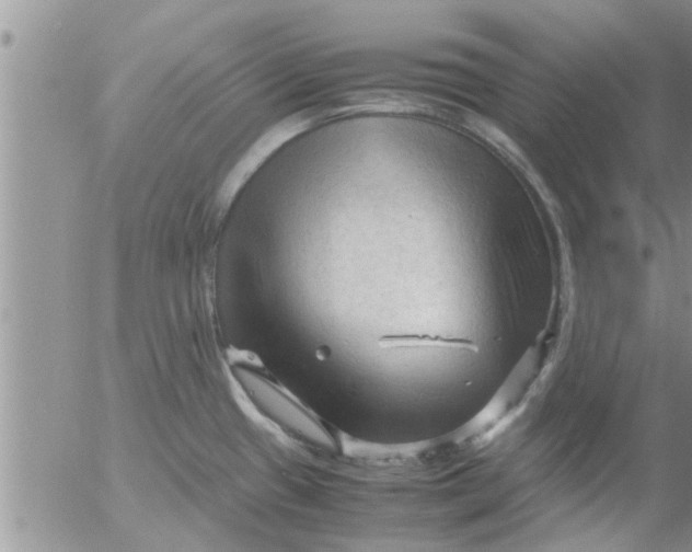 X0000053091433200508012021