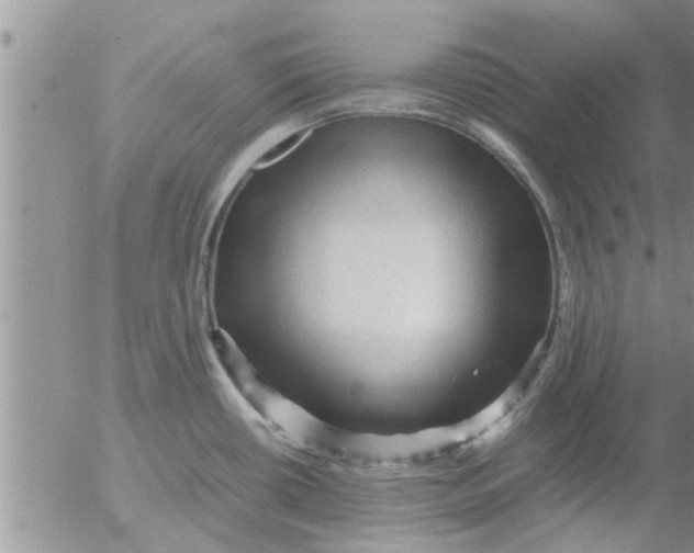 X0000053091434200508012021