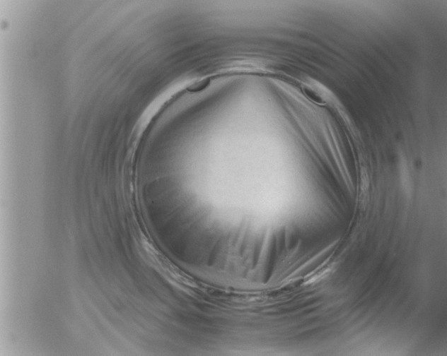 X0000053091435200508012021