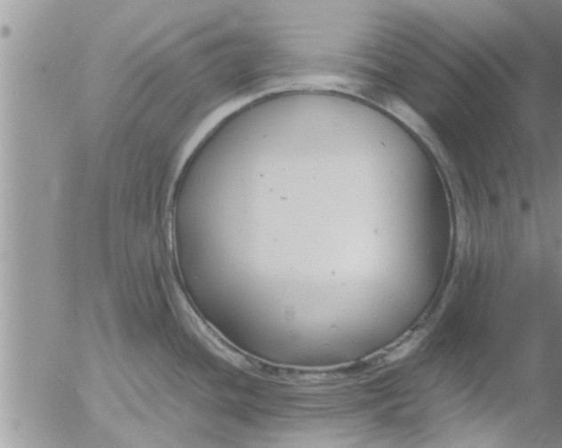 X0000053091436200508012021