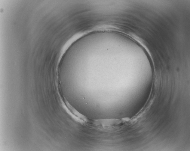 X0000053091437200508012021