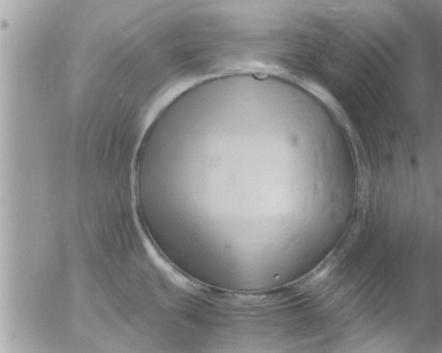 X0000053091439200508012021