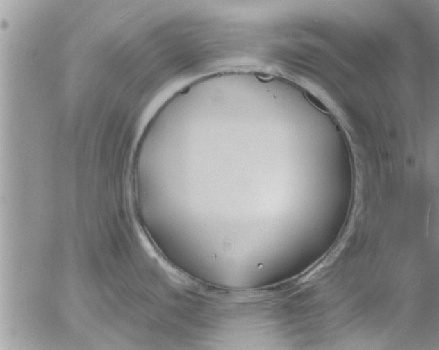 X0000053091440200508012021