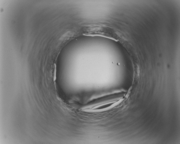 X0000053091441200508012020