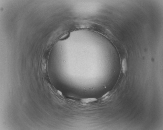 X0000053091443200508012020