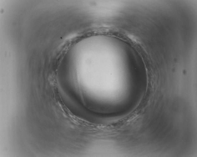 X0000053091445200508012020