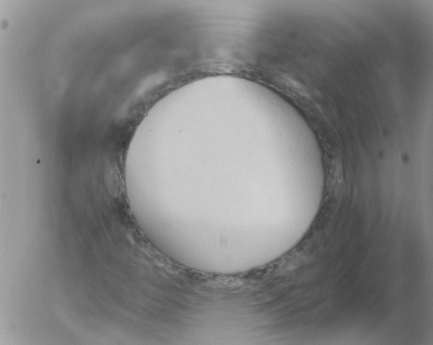 X0000053091446200508012020