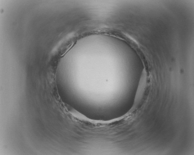 X0000053091447200508012020