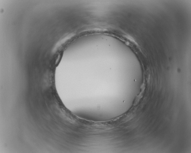 X0000053091448200508012020