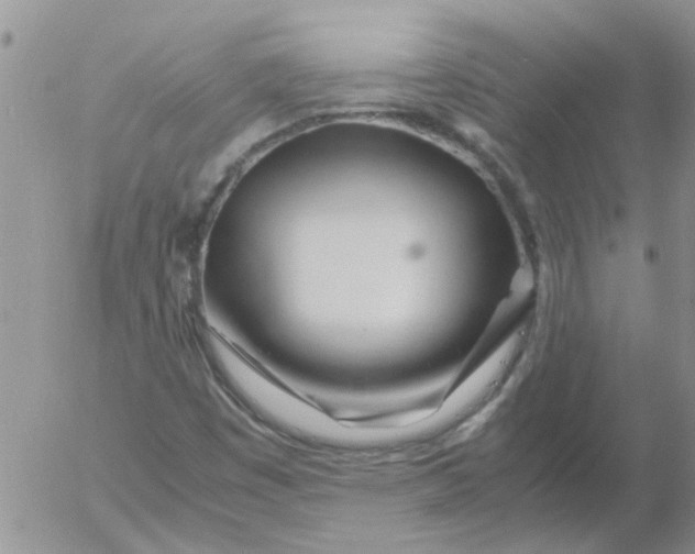 X0000053091449200508012020