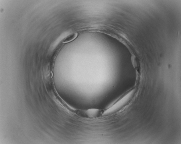 X0000053091450200508012020