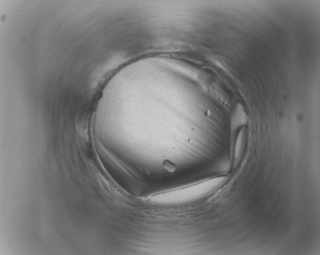 X0000053091451200508012020